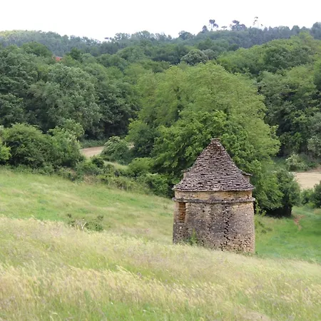 Charmante Maison Rustique En Pierres, Proche De Sarlat - Fr-1-616-385 Landhaus